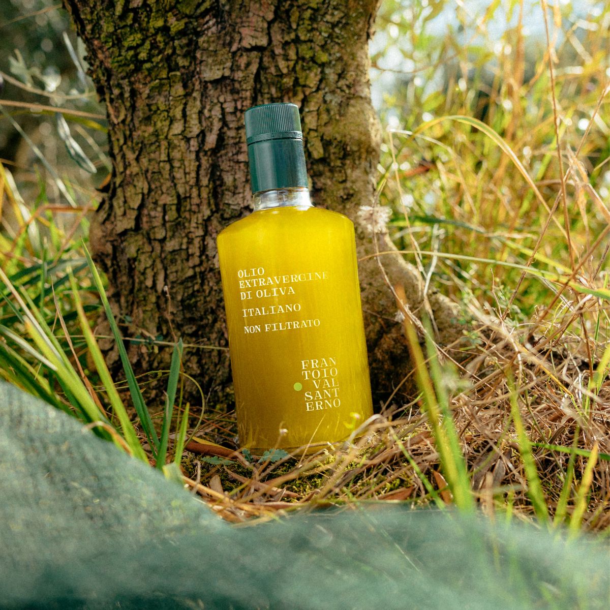 OLIO NOVELLO NON FILTRATO